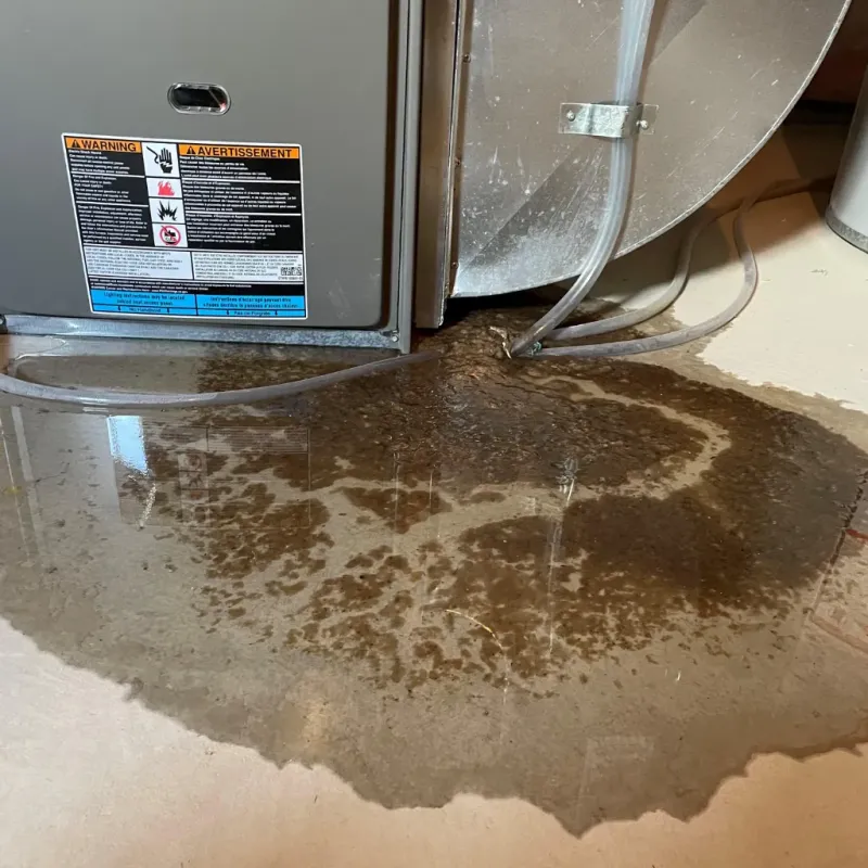 Appliance Leak Cleanup in Troutman, NC